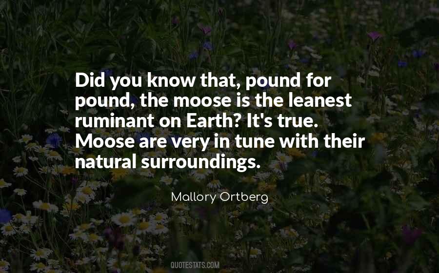 Quotes About Moose #1837401