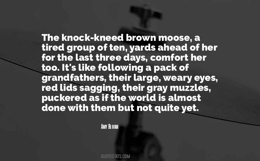 Quotes About Moose #340615