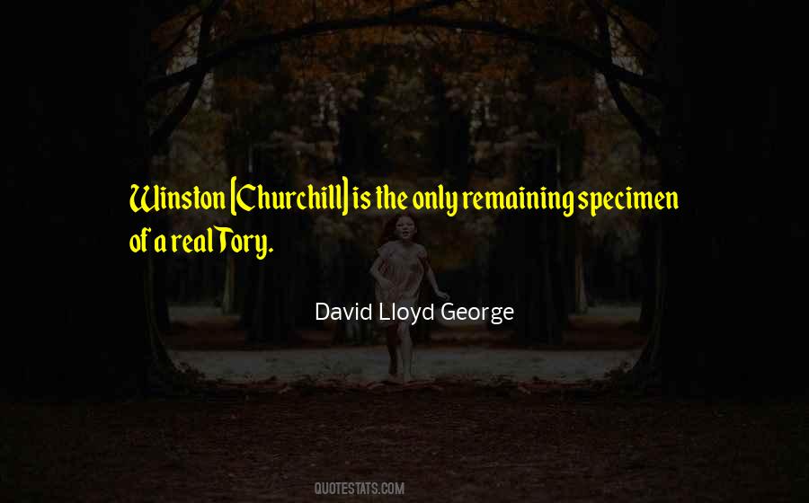 Quotes About Tory #626078