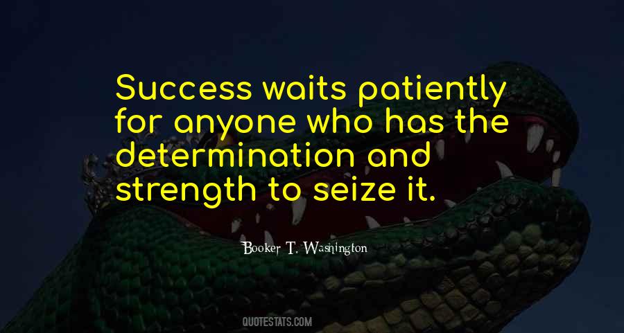 Quotes About Success And Determination #1029244