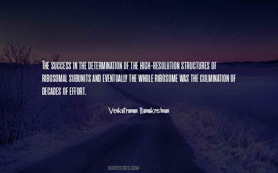 Quotes About Success And Determination #896447