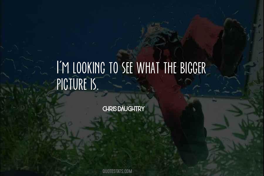 Quotes About Bigger Picture #139533