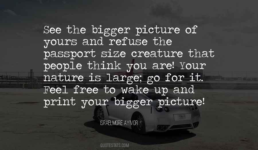 Quotes About Bigger Picture #1788819