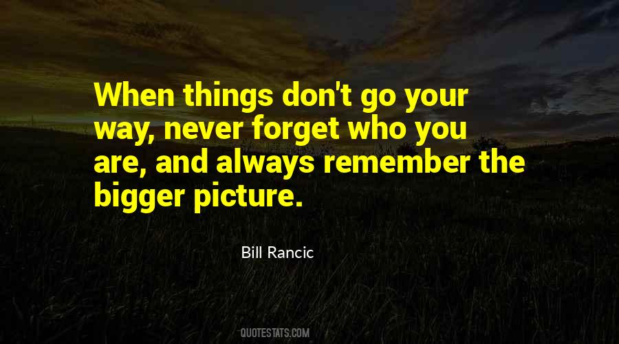 Quotes About Bigger Picture #771380