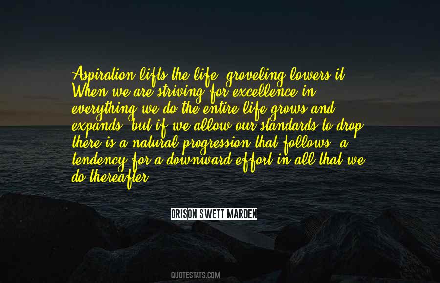 Quotes About Excellence In Life #704107