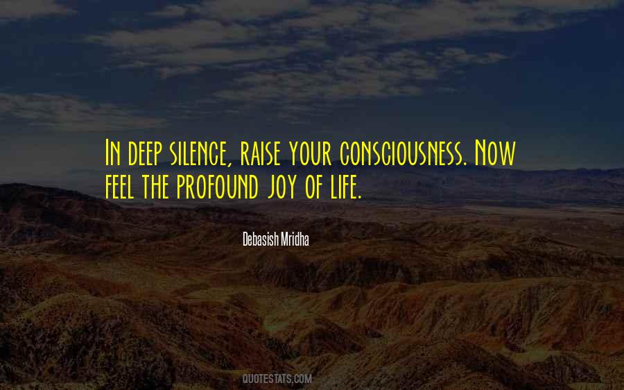 Joy In Silence Quotes #1217333