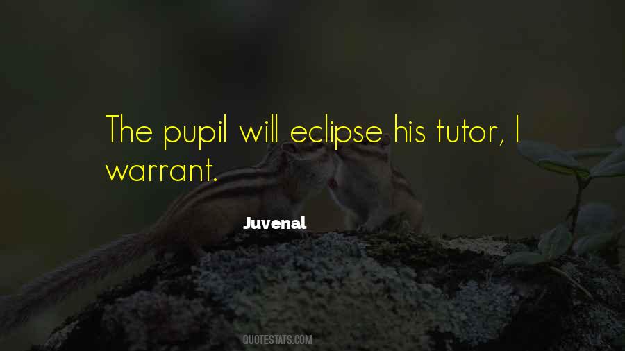 Quotes About Pupil #362521