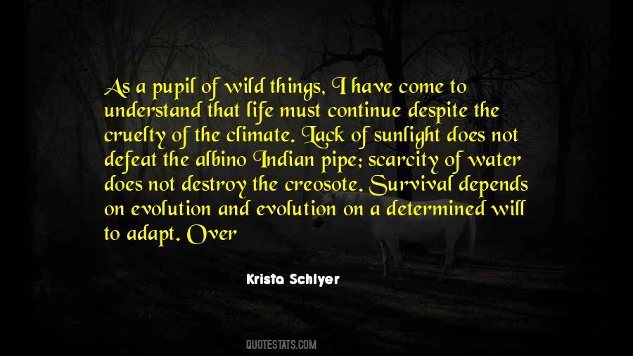 Quotes About Pupil #971951