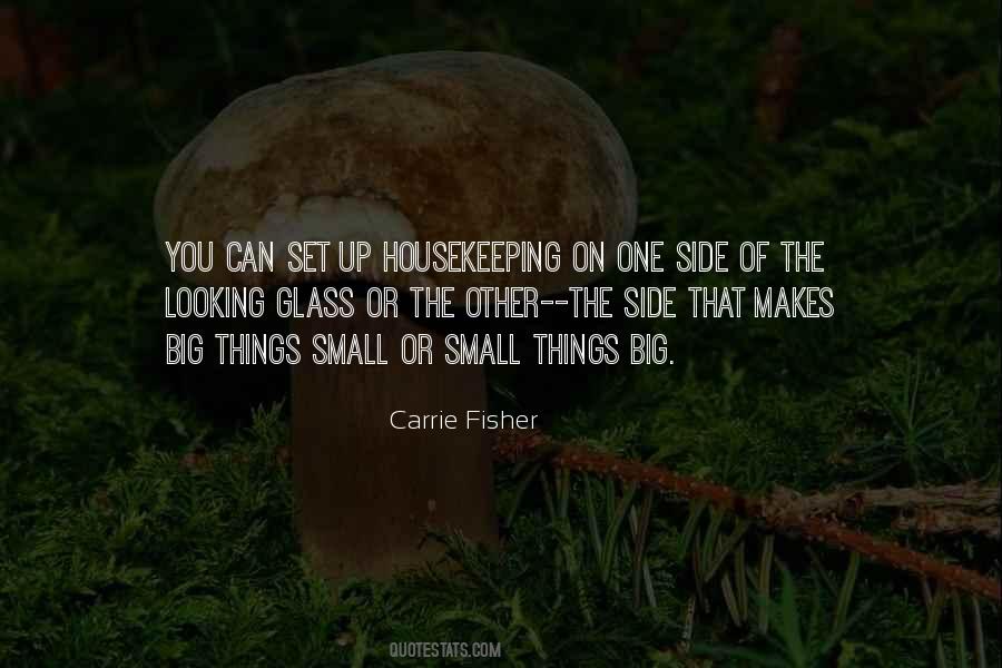 Quotes About The Looking Glass #1386986