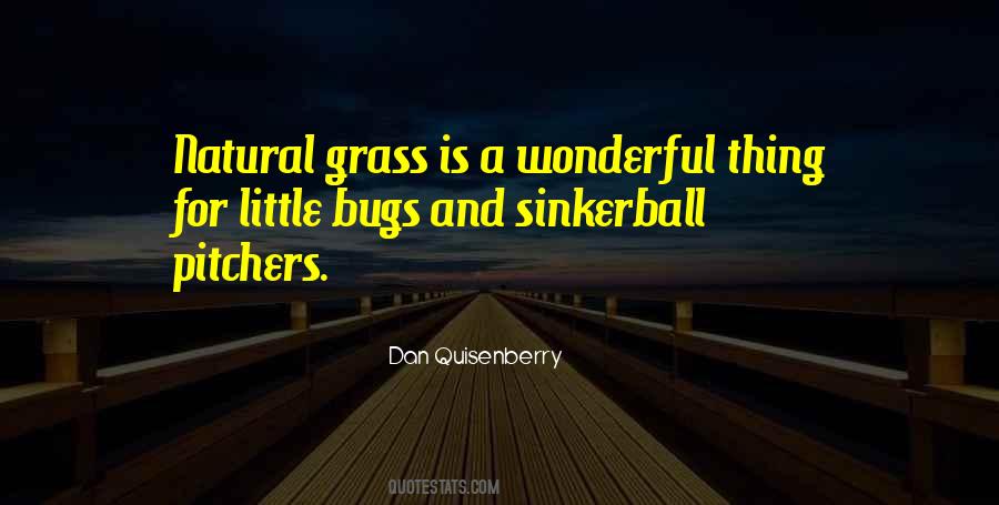 Quotes About Pitchers #541761