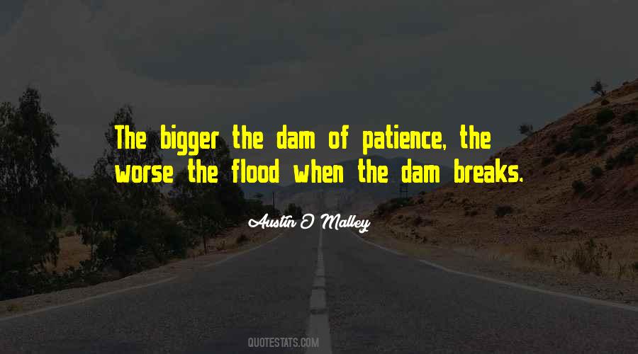 Quotes About Dams #1393459