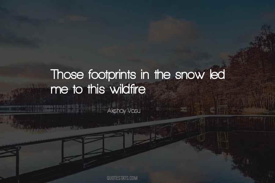 Quotes About Footprints In The Snow #105023