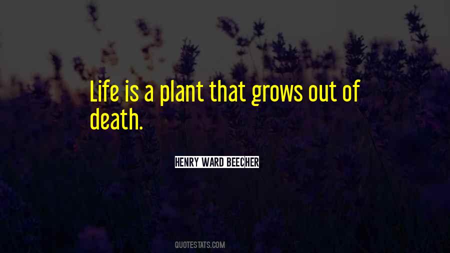 Quotes About Plant Life #508667