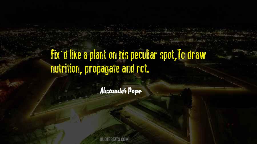 Quotes About Plant Life #55527