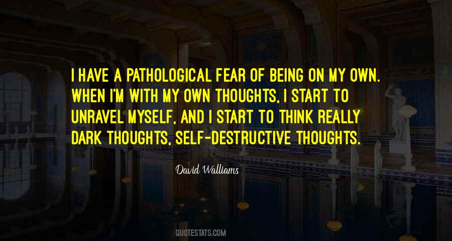 Quotes About Being Self Destructive #468037