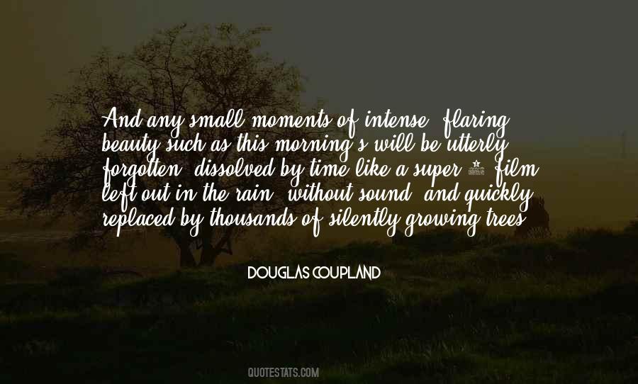 Beauty Moments Quotes #457677