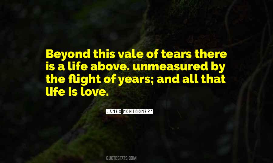 Vale Of Tears Quotes #655443