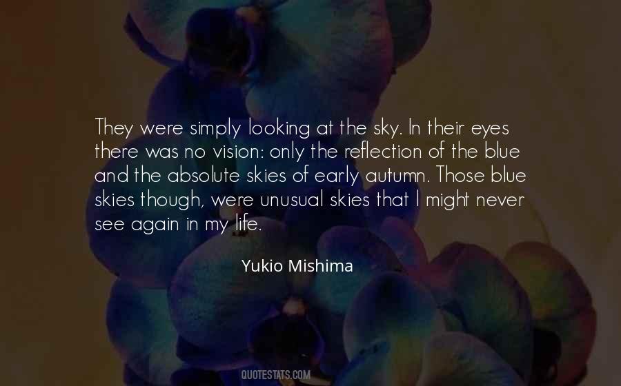 Quotes About Looking At The Sky #92336
