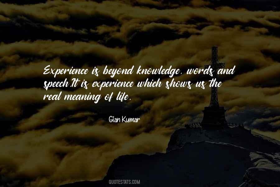 Life Experience Experience Quotes #27594