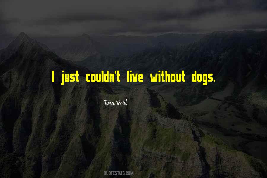 Quotes About Felicidad #1578802