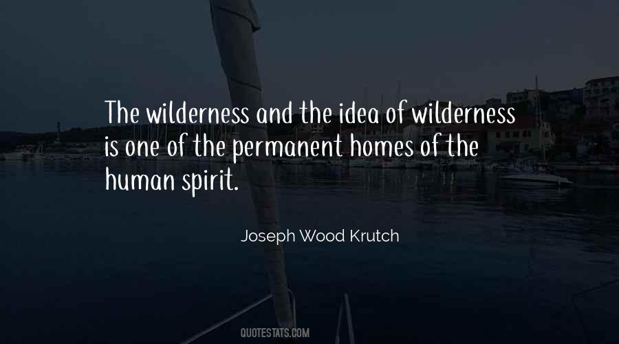 Quotes About The Human Spirit #1038748