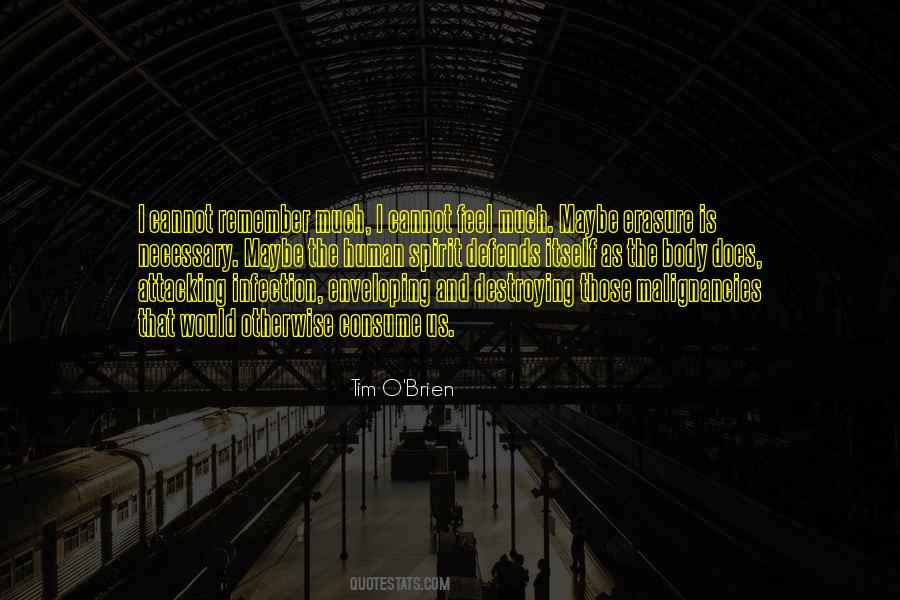 Quotes About The Human Spirit #1038977