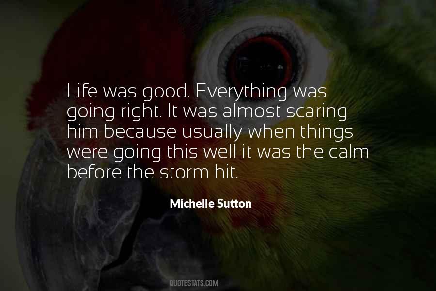 Quotes About The Storm Before The Calm #1179555