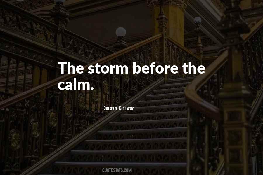 Quotes About The Storm Before The Calm #1324585