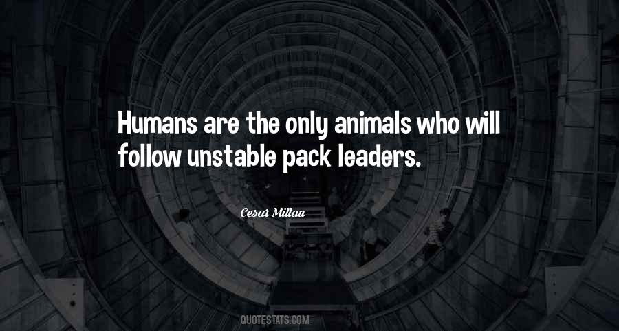 Quotes About Humans Are Animals #947404