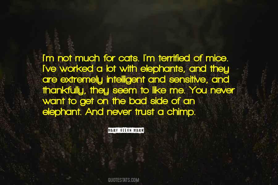 You Are Intelligent Quotes #1240200