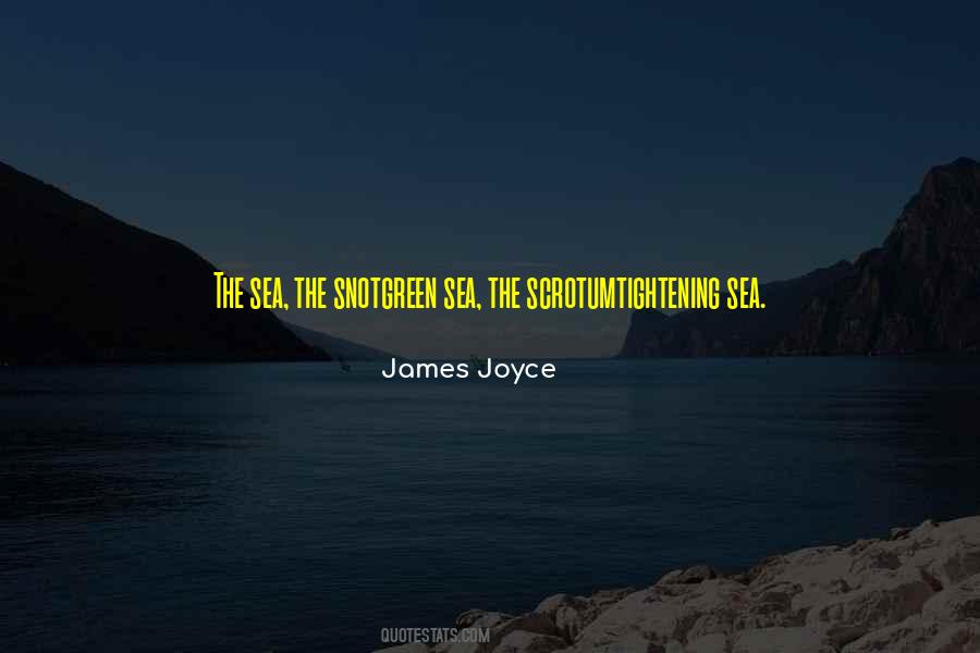 Irish Sea Quotes #884924