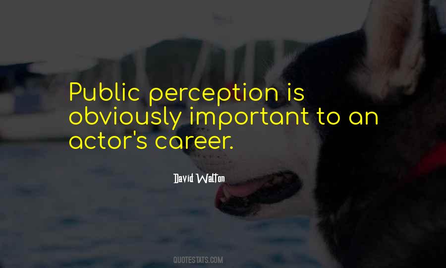 Quotes About Public Perception #163204