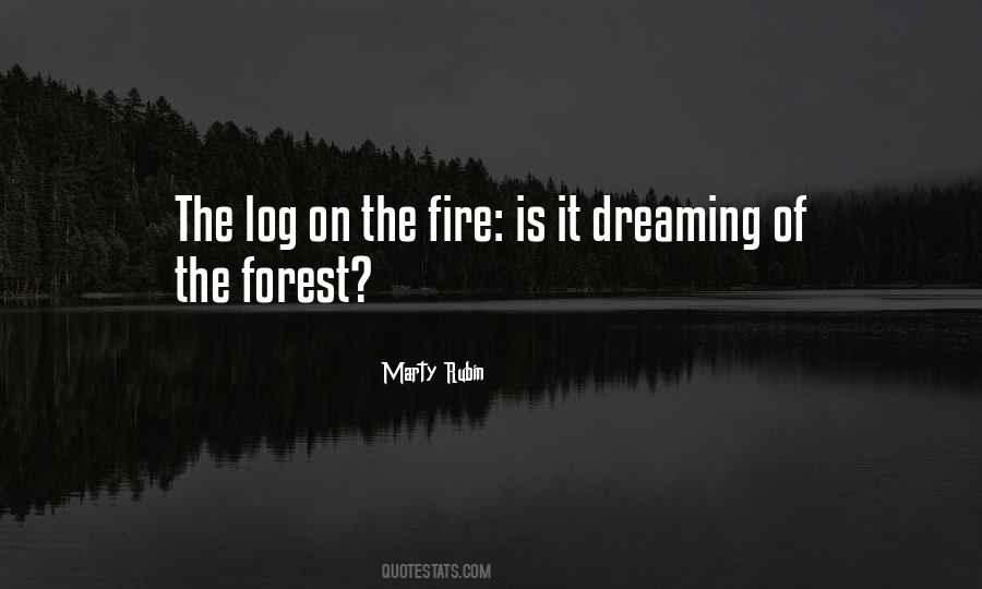 The Dreaming Quotes #80000