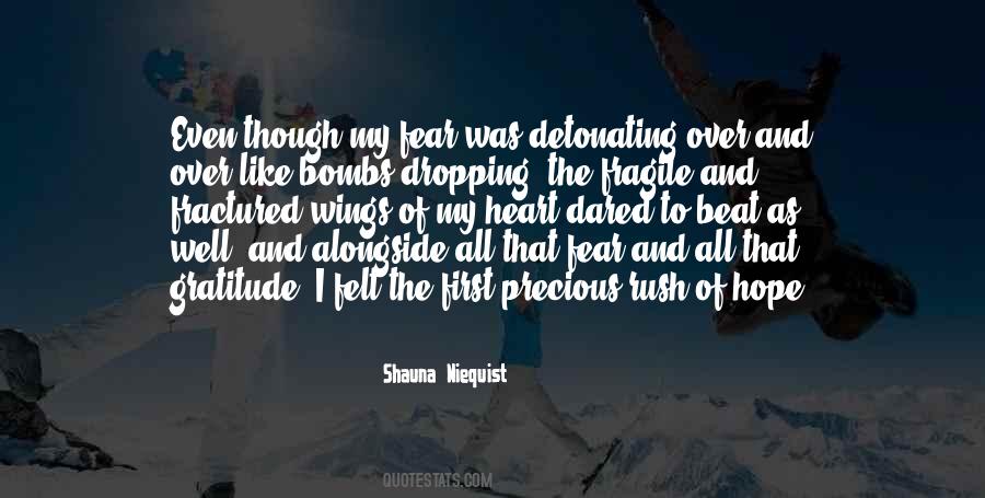 Quotes About Dropping Bombs #342292