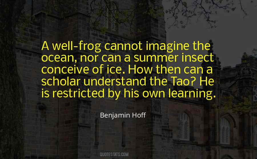 Imagine Learning Quotes #1807212