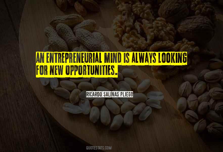 Quotes About Looking For New Opportunities #498176