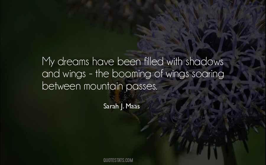 Quotes About Wings And Dreams #1549271