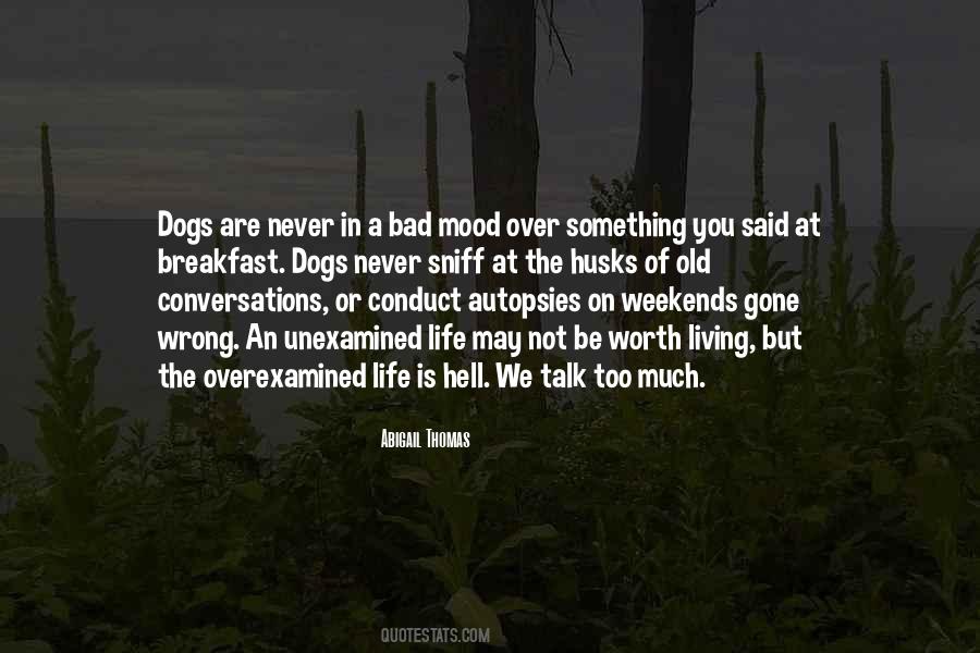 Quotes About Unexamined Life #501605