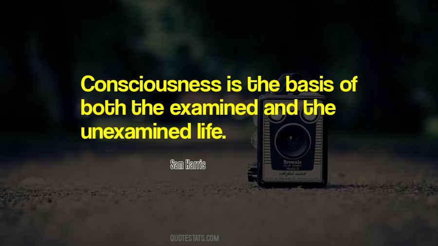 Quotes About Unexamined Life #526536