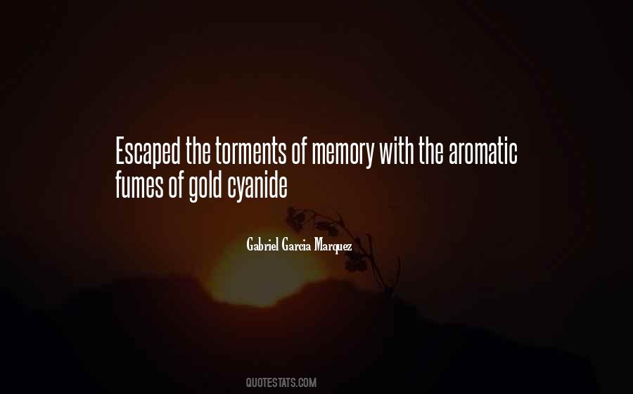 Quotes About Torments #91175