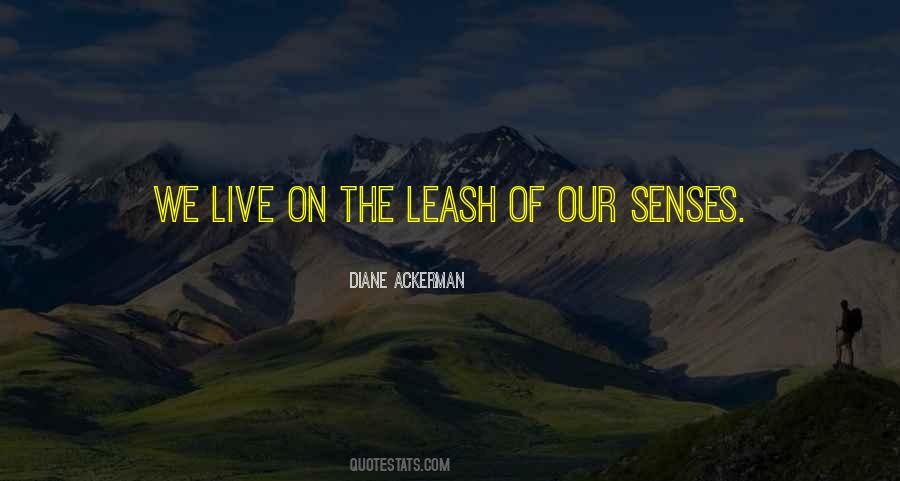 Our Senses Quotes #1274260