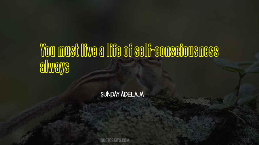 Quotes About Self Consciousness #463397