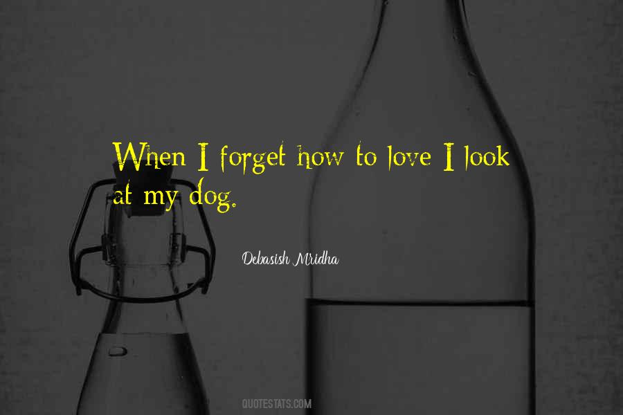 Forget To Love Quotes #95725