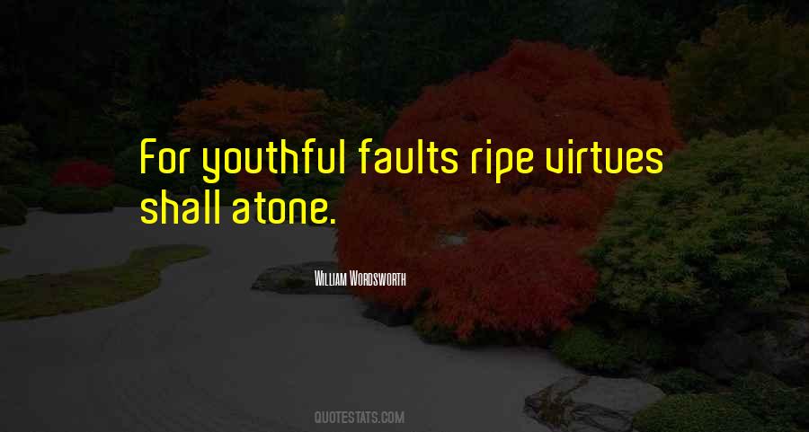 Quotes About Faults #1172623