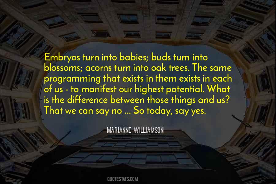 Quotes About Embryos #102202