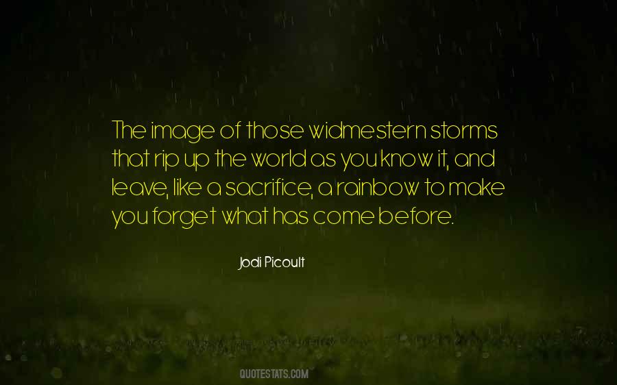 Quotes About Storms In Your Life #236583