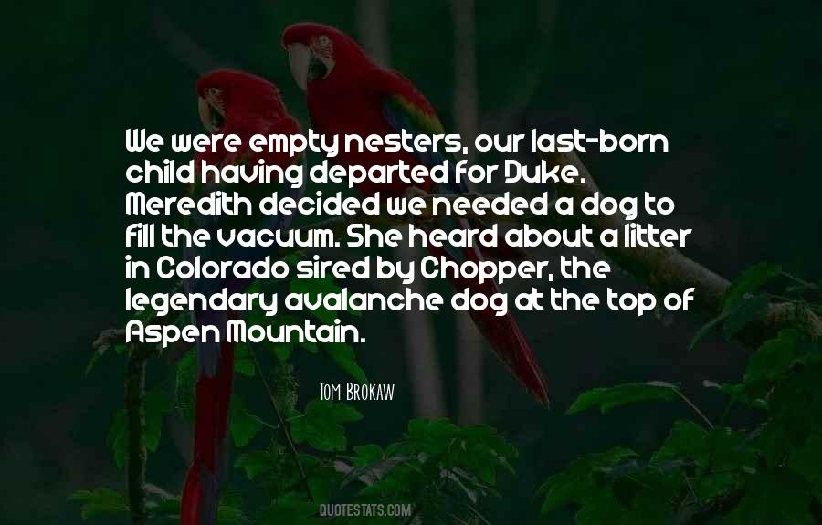 Quotes About Empty Nesters #1790911
