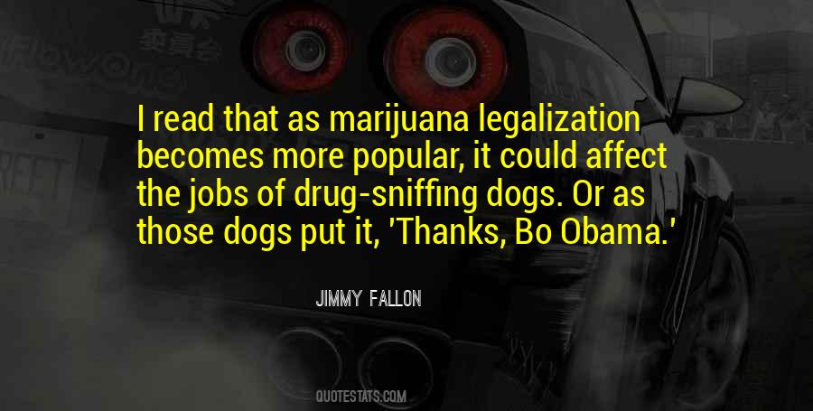 Quotes About Legalization #818180