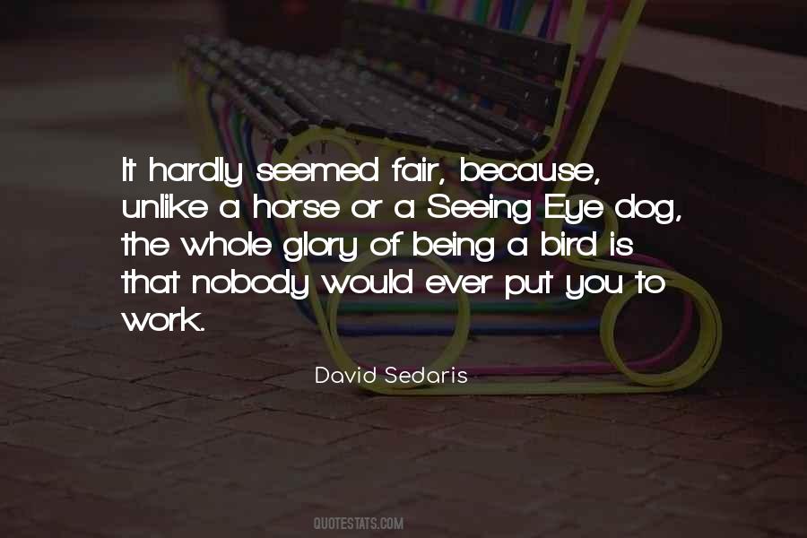 Quotes About Freedom Of Birds #1341744 Quotes About Freedom Of Birds #1341744