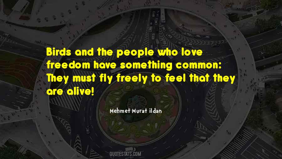 Quotes About Freedom Of Birds #281149 Quotes About Freedom Of Birds #281149